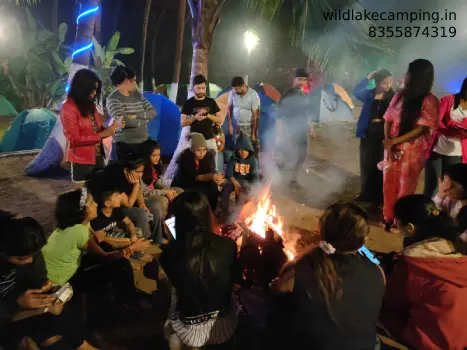 Group Campfire with Live Music 