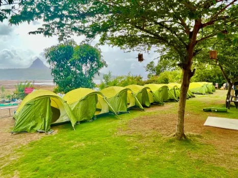 pawna camping for new year